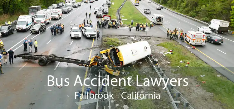 Bus Accident Lawyers Fallbrook - California