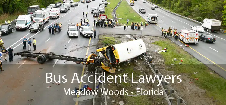 Bus Accident Lawyers Meadow Woods - Florida