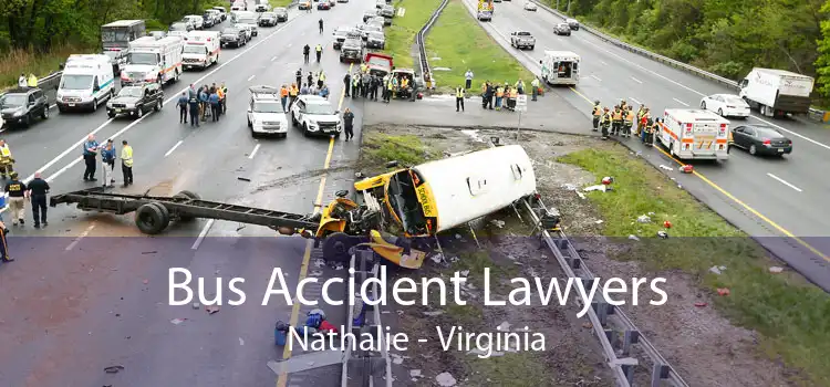 Bus Accident Lawyers Nathalie - Virginia