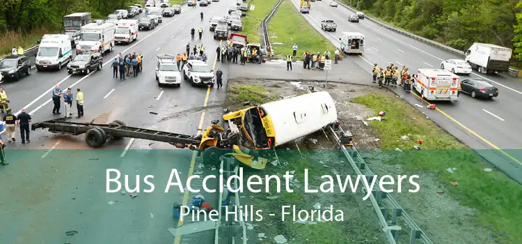 Bus Accident Lawyers Pine Hills - Florida