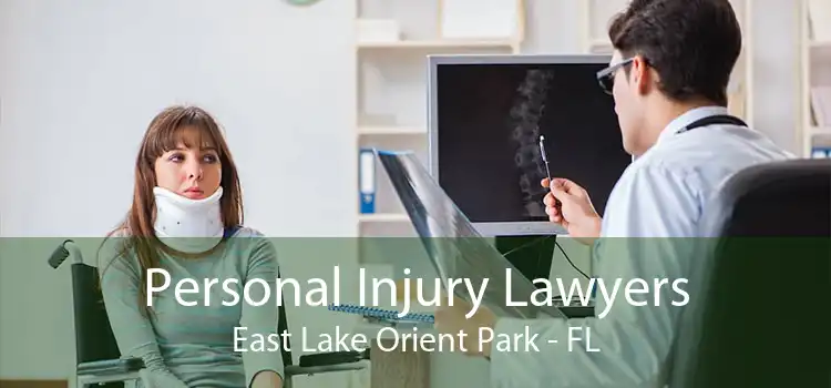 Personal Injury Lawyers East Lake Orient Park - FL