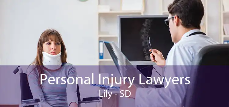Personal Injury Lawyers Lily - SD