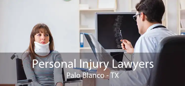 Personal Injury Lawyers Palo Blanco - TX